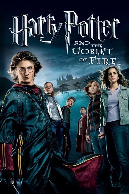 Daniel Radcliffe in Harry Potter and the Goblet of Fire (2005)