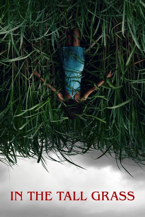 2019 Horror in In the Tall Grass (2019)