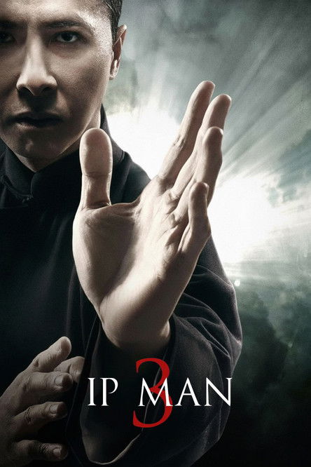 2015 Action in Ip Man 3 (2015)