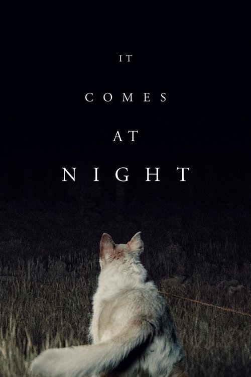 2017 in It Comes at Night (2017)