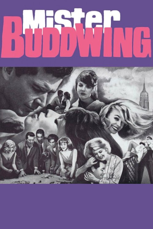 1966 in Mister Buddwing (1966)