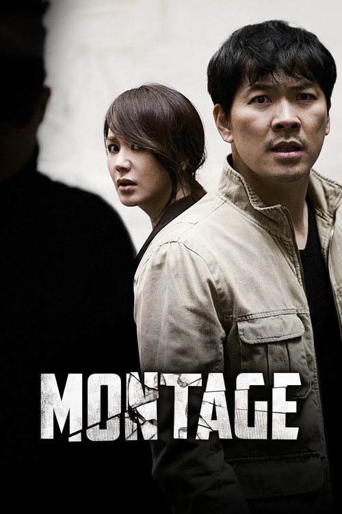 2013 Thriller in Montage (2013)