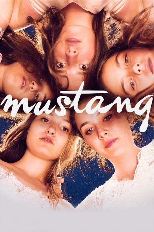 2015 in Mustang (2015)