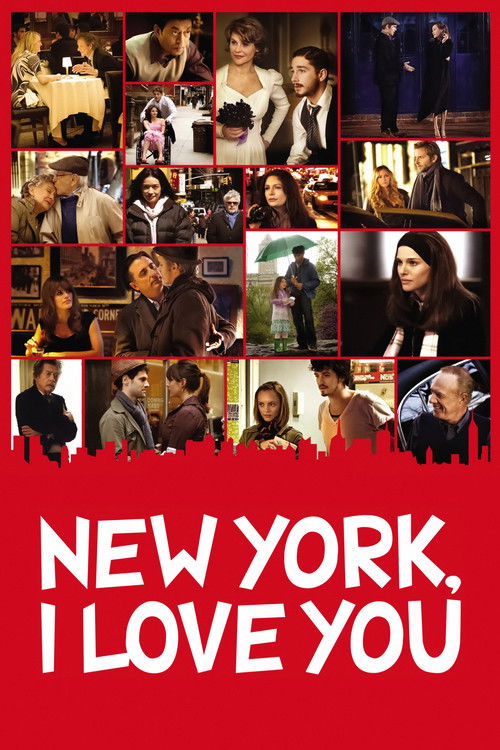 Justin Bartha in New York, I Love You (2008)
