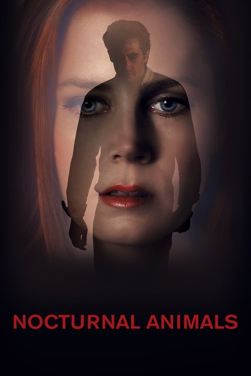 2010s in Nocturnal Animals (2016)