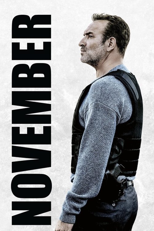 2022 Crime in November (2022)