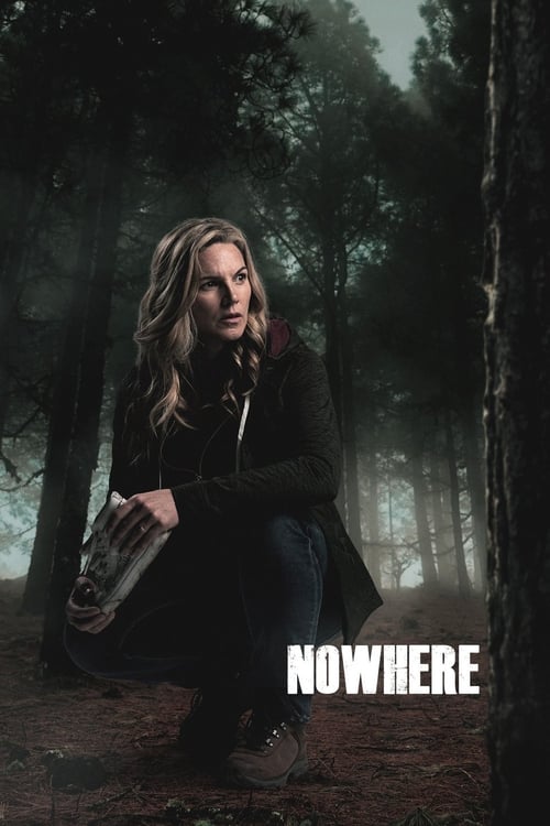 2019 Thriller in Nowhere to Be Found (2019)