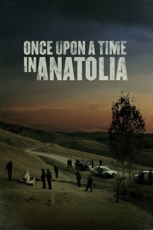 2011 Crime in Once Upon a Time in Anatolia (2011)