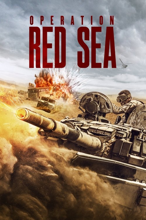 2018 Action in Operation Red Sea (2018)