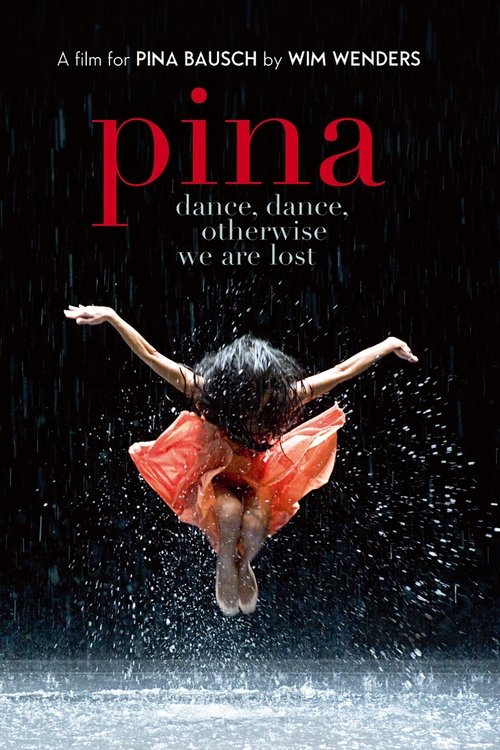 2011 in Pina (2011)