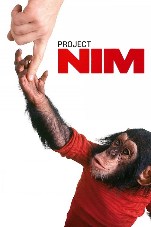2011 in Project Nim (2011)
