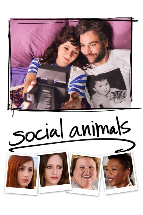 2010s in Social Animals (2018)