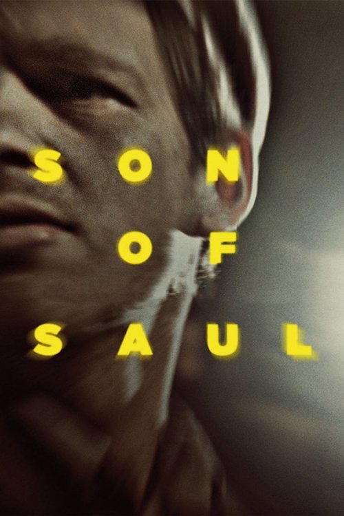 2015 in Son of Saul (2015)
