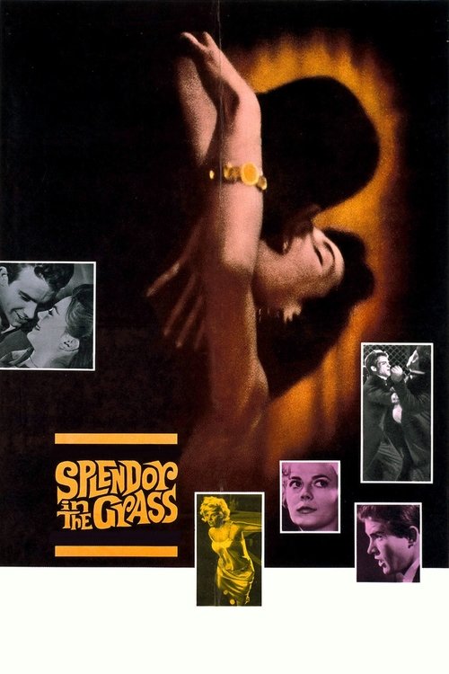 Warren Beatty in Splendor in the Grass (1961)