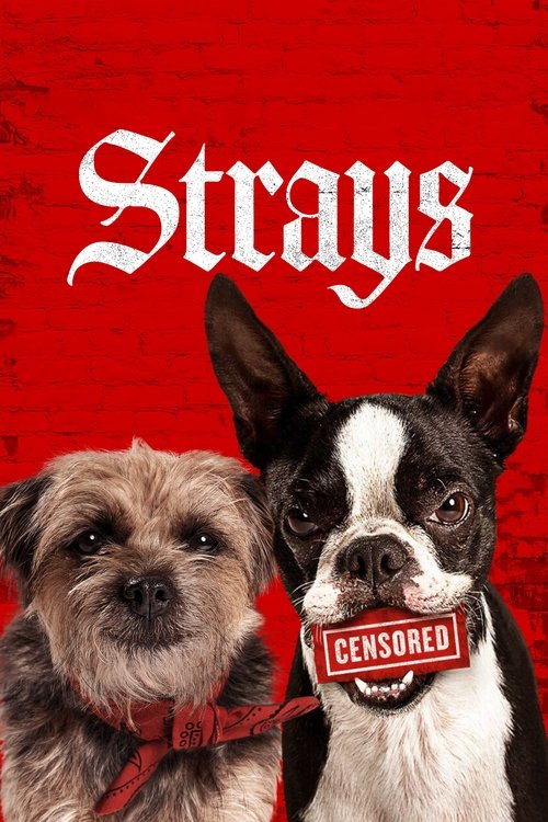 Will Ferrell in Strays (2023)