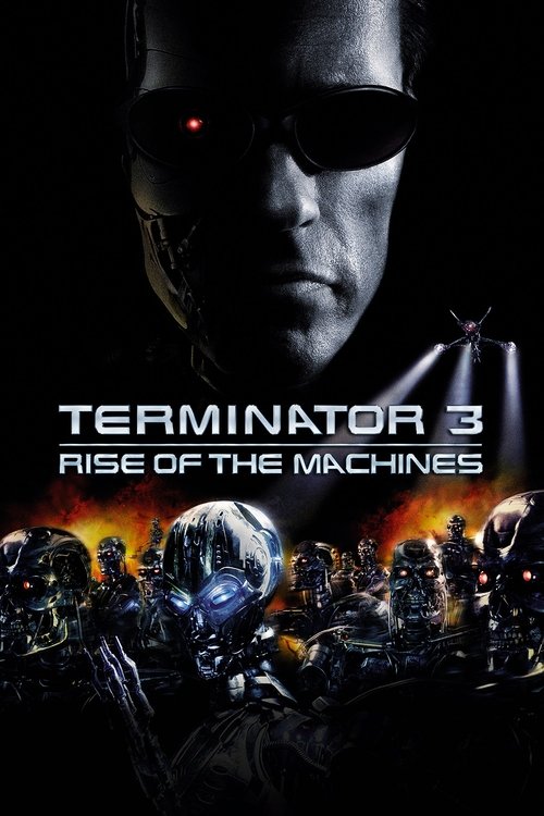 Arnold Schwarzenegger in Terminator 3: Rise of the Machines (2003)