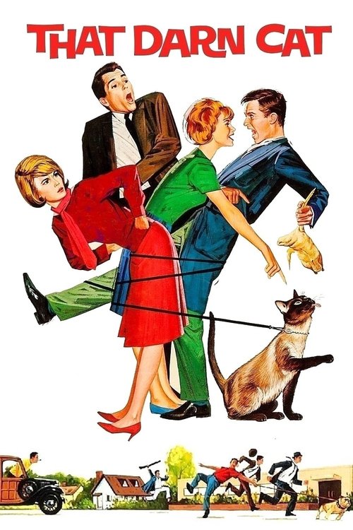 1965 in That Darn Cat! (1965)