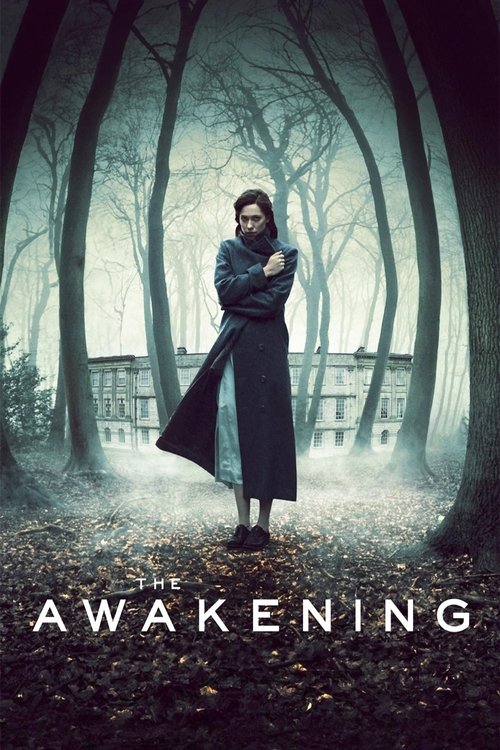 2011 Horror in The Awakening (2011)