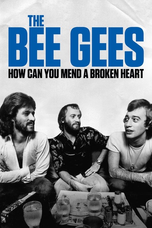 Barbra Streisand in The Bee Gees: How Can You Mend a Broken Heart (2020)