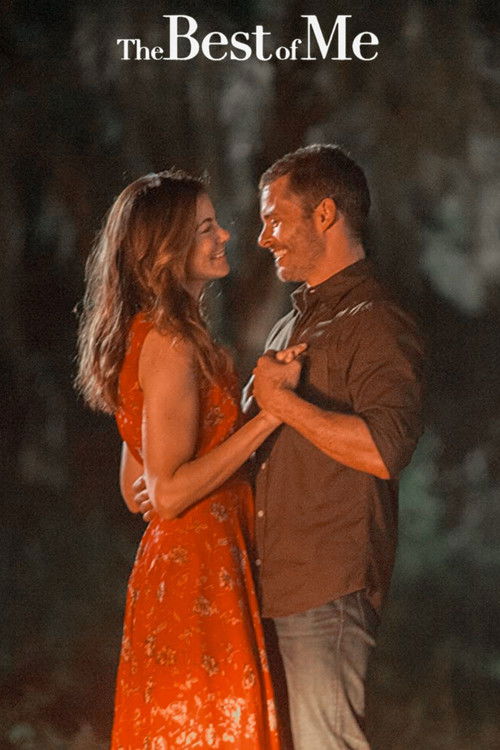 Michelle Monaghan in The Best of Me (2014)