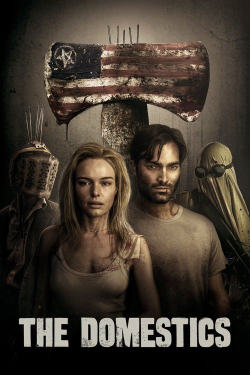 2018 Horror in The Domestics (2018)