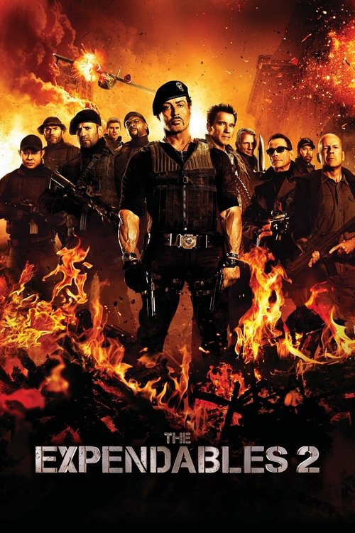 Arnold Schwarzenegger in The Expendables 2 (2012)