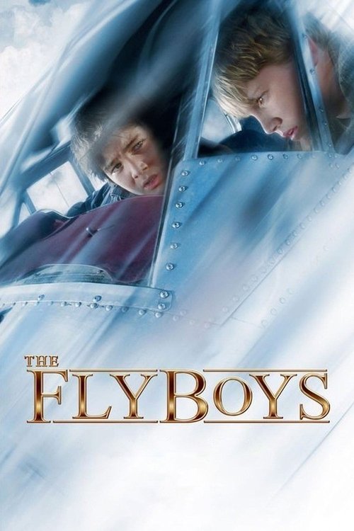 Stephen Baldwin in The Flyboys (2008)