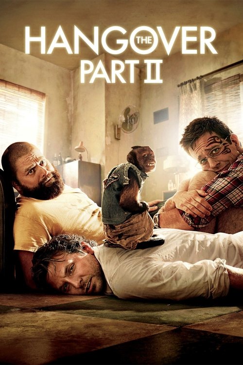 Todd Phillips in The Hangover Part II (2011)