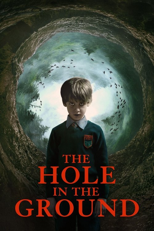 2019 in The Hole in the Ground (2019)