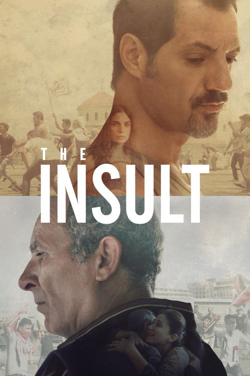 2017 Crime in The Insult (2017)