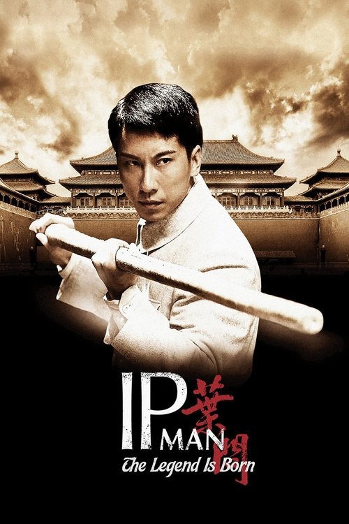 2010 Action in The Legend Is Born: Ip Man (2010)