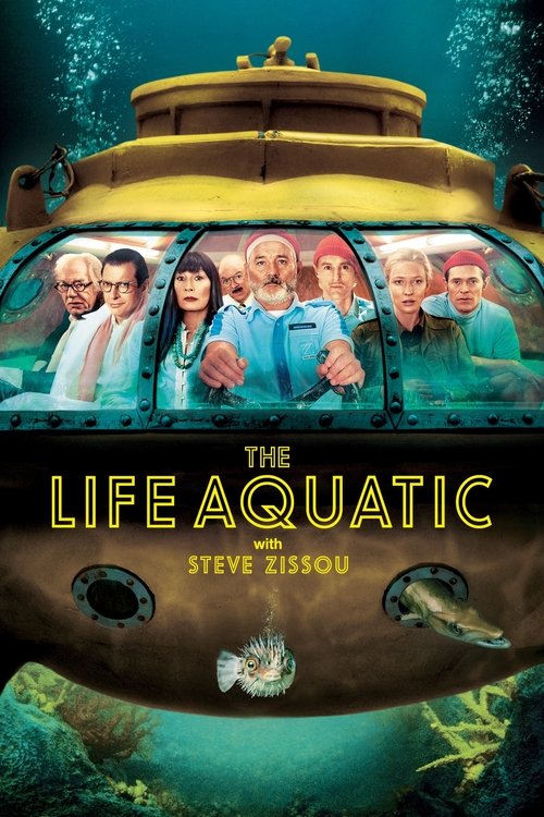 Bill Murray in The Life Aquatic with Steve Zissou (2004)