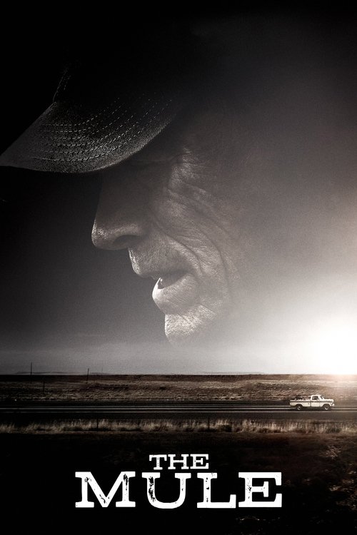 2010s Crime in The Mule (2018)