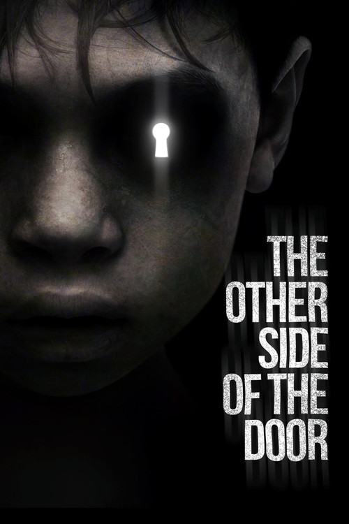 2016 Horror in The Other Side of the Door (2016)