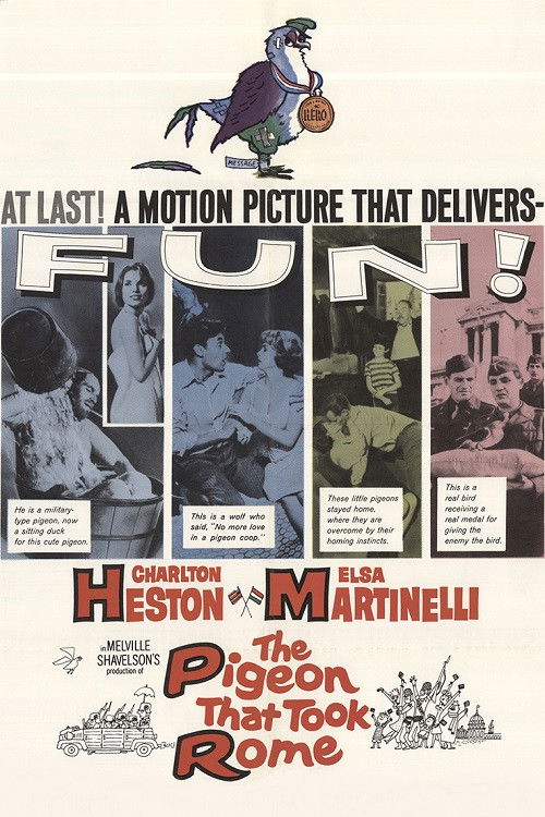 1962 in The Pigeon That Took Rome (1962)