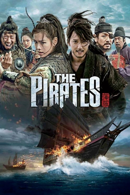 2014 Action in The Pirates (2014)