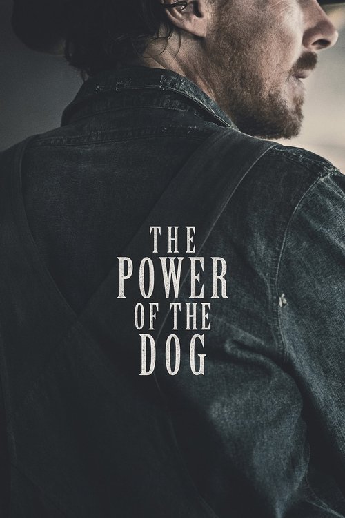 Jesse Plemons in The Power of the Dog (2021)