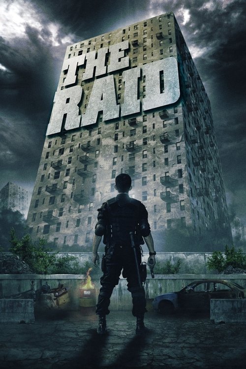 2010s Action in The Raid (2012)