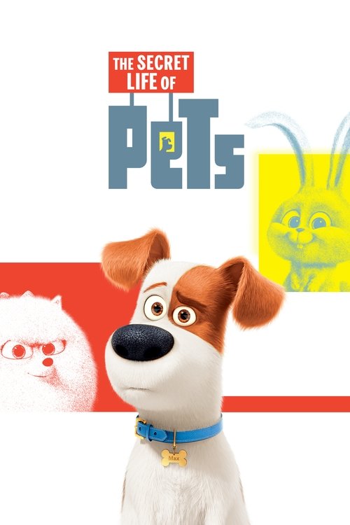 2016 in The Secret Life of Pets (2016)