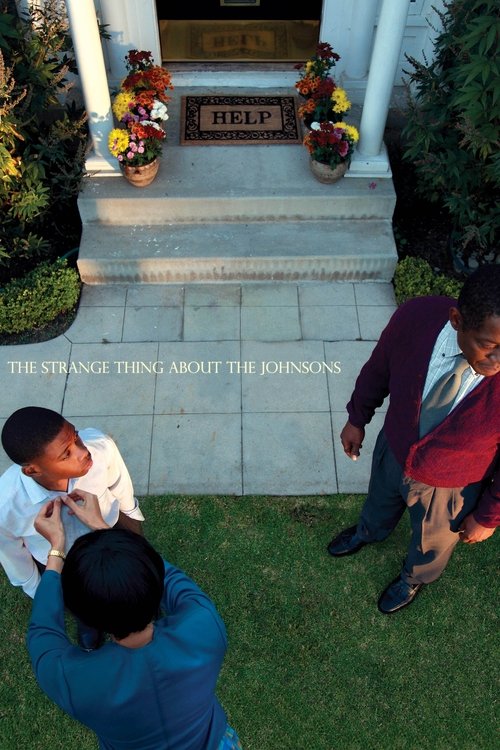 2011 Horror in The Strange Thing About the Johnsons (2011)