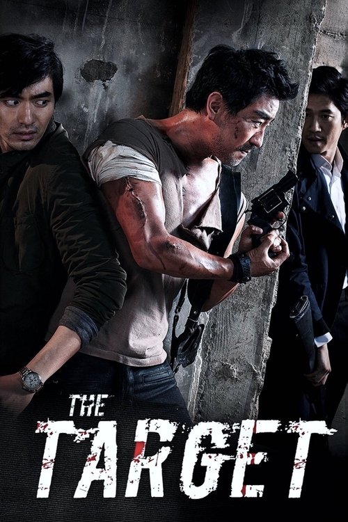 2014 Action in The Target (2014)