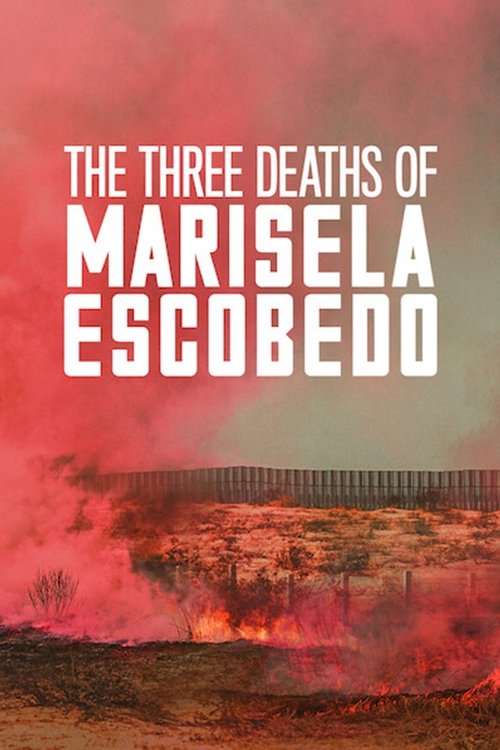 2020 Crime in The Three Deaths of Marisela Escobedo (2020)
