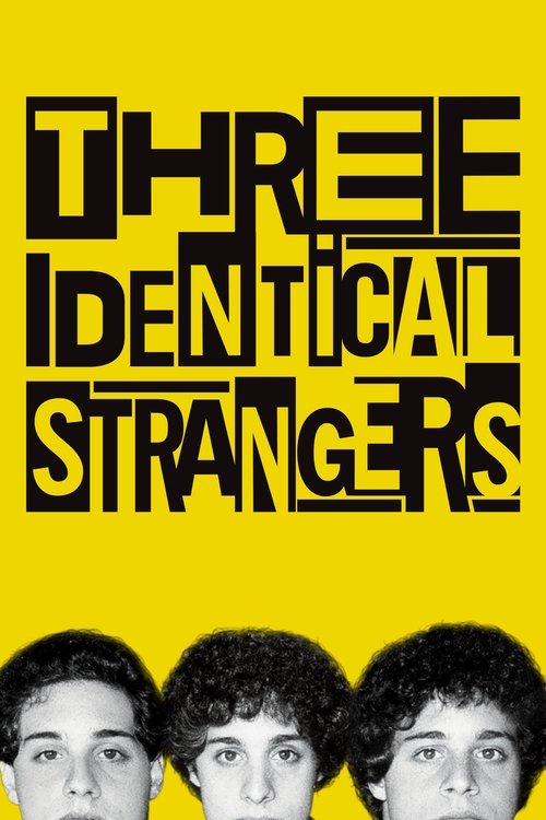 2018 in Three Identical Strangers (2018)