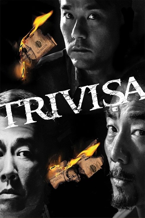 2016 Crime in Trivisa (2016)