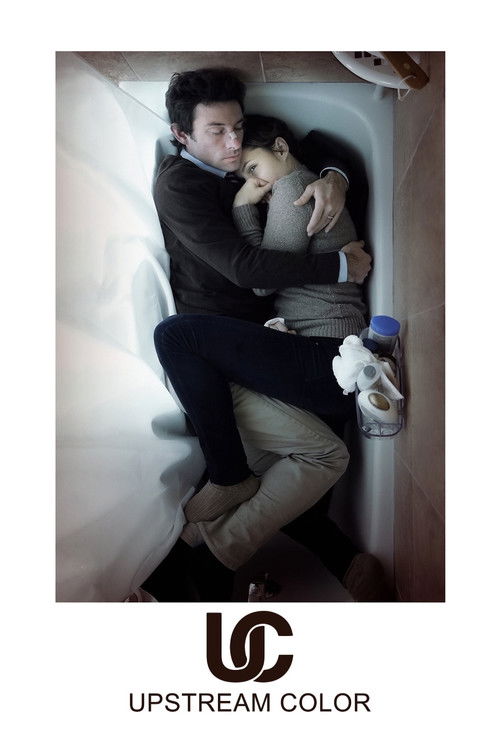 2013 in Upstream Color (2013)