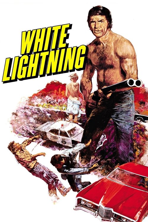 Diane Ladd in White Lightning (1973)