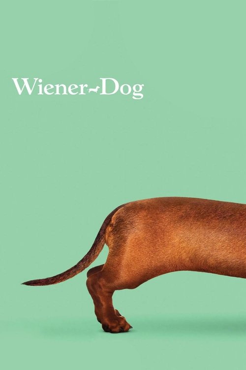 Kieran Culkin in Wiener-Dog (2016)