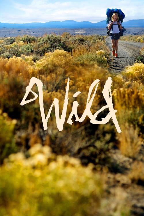 Laura Dern in Wild (2014)