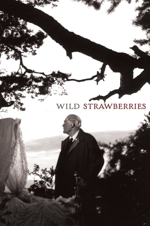 Ingmar Bergman in Wild Strawberries (1957)