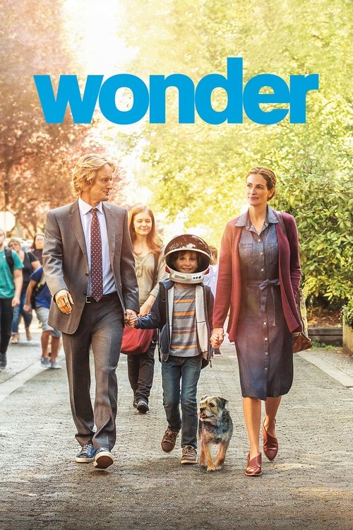 2017 in Wonder (2017)